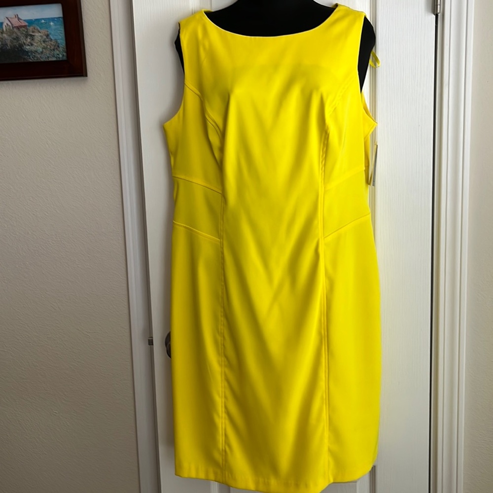 NWT sleeveless yellow dress.  Has zipper opening  and straps for hanging.